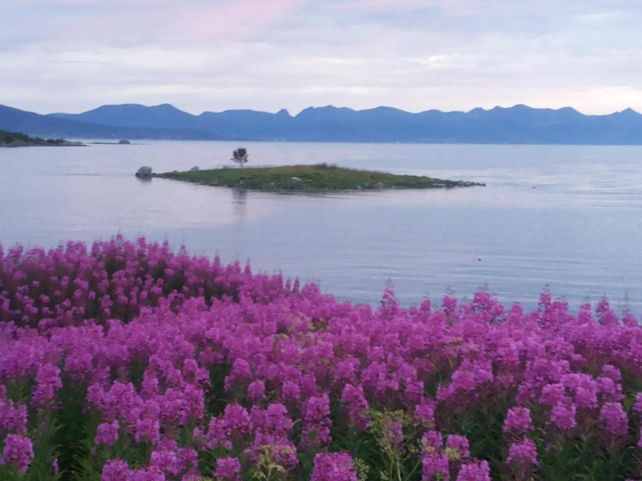 Prima Lofoten Myrland Экстерьер фото