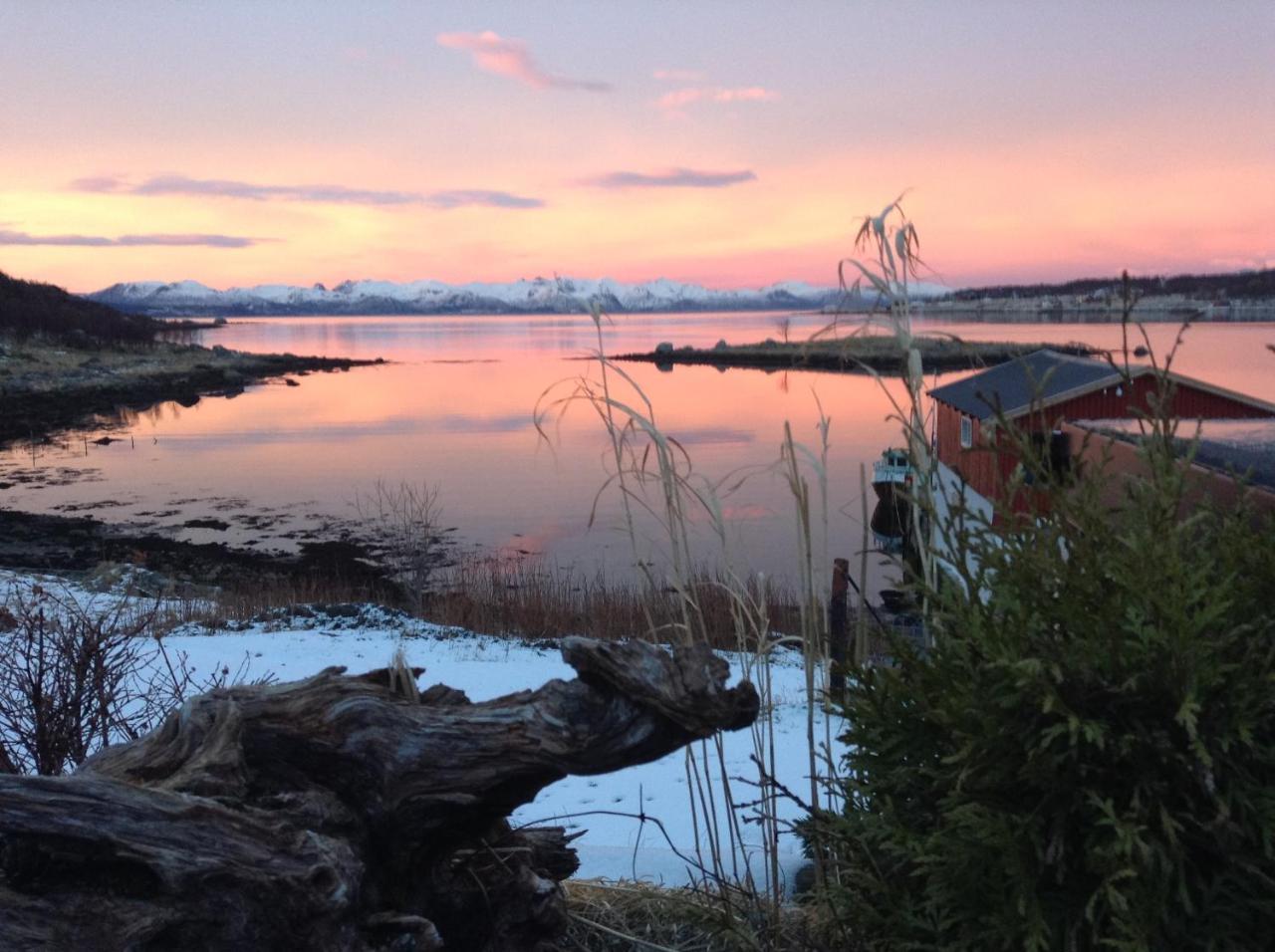 Prima Lofoten Myrland Экстерьер фото