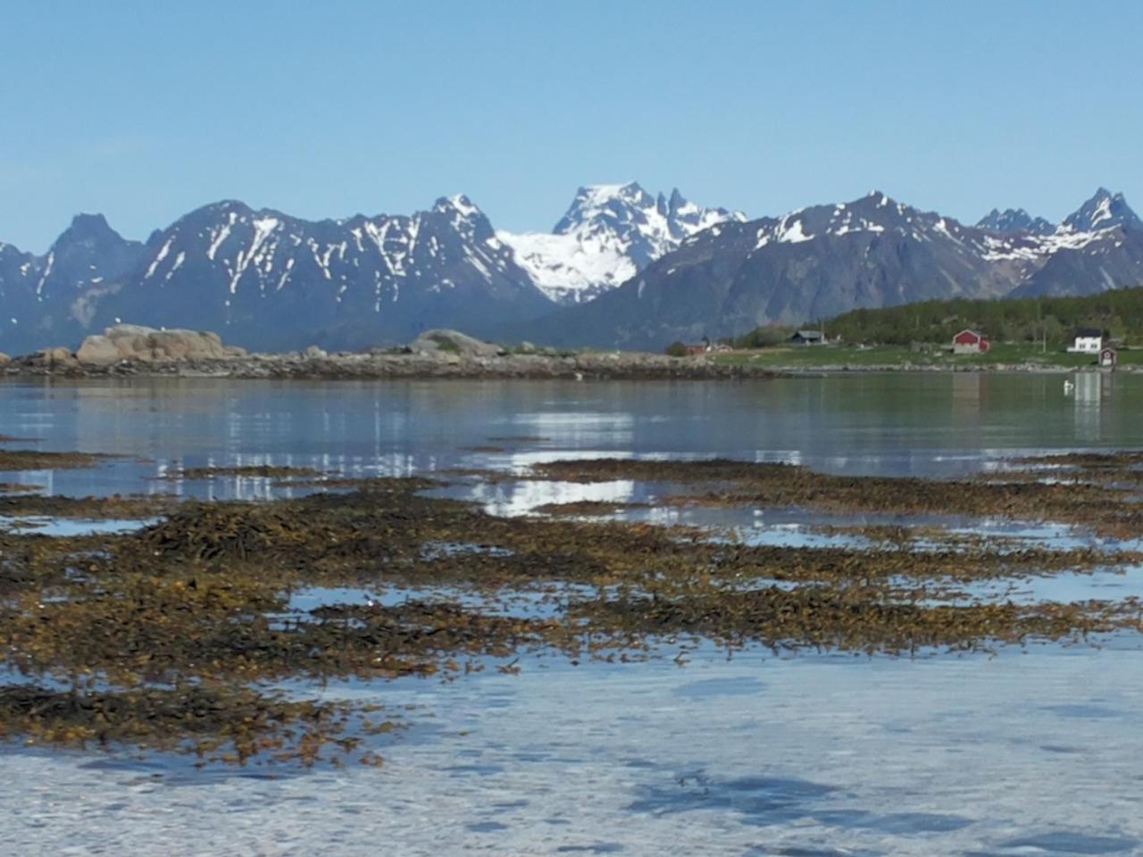 Prima Lofoten Myrland Экстерьер фото