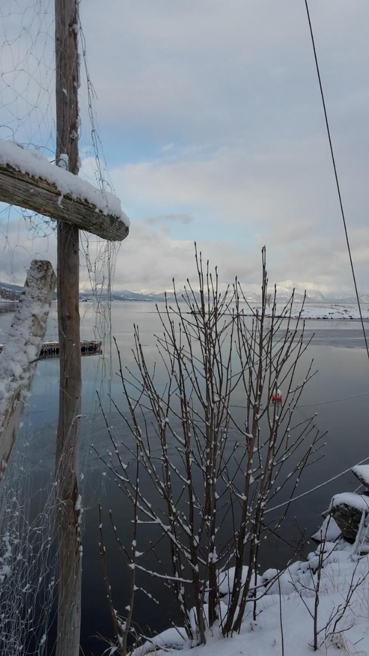 Prima Lofoten Myrland Экстерьер фото